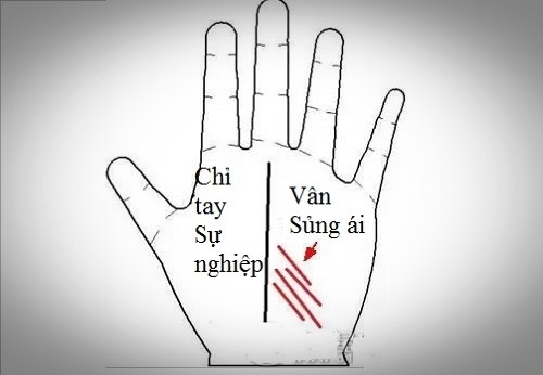 Xem hôn nhân hạnh phúc cỡ nào qua bàn tay